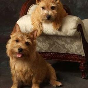 Meet your Posher, Melanie